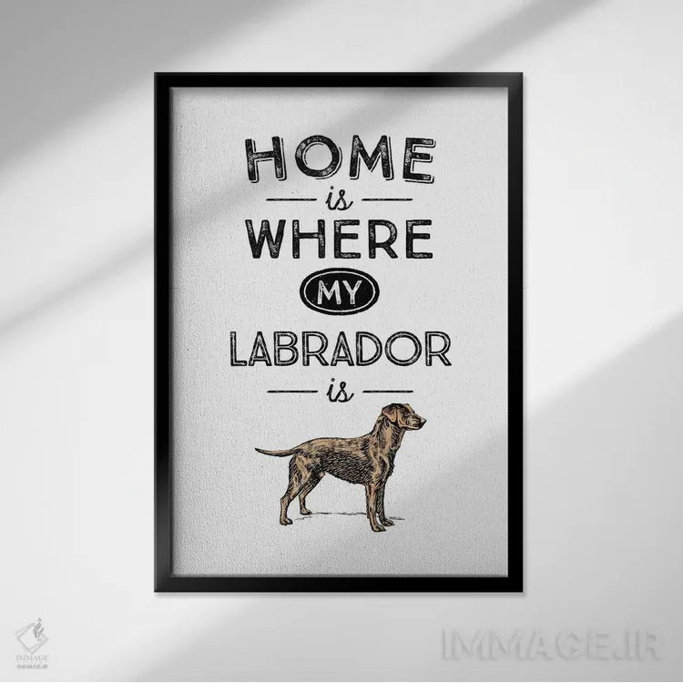 تابلو لابرادور زرد (رنگ خاص نژاد سگ) اثر پوسترهای طراحی آلچرا - نمای قابدار مشکی