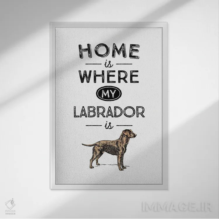 تابلو لابرادور زرد (رنگ خاص نژاد سگ) اثر پوسترهای طراحی آلچرا - نمای قابدار سفید