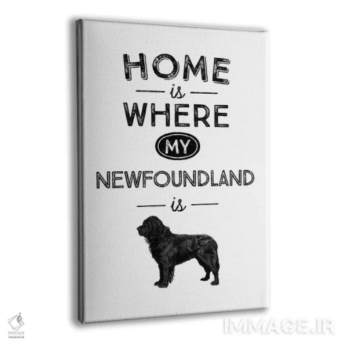 تابلو نیوفاندلند (نژاد سگ) اثر پوسترهای طراحی آلچرا - نمای پرسپکتیو محصول