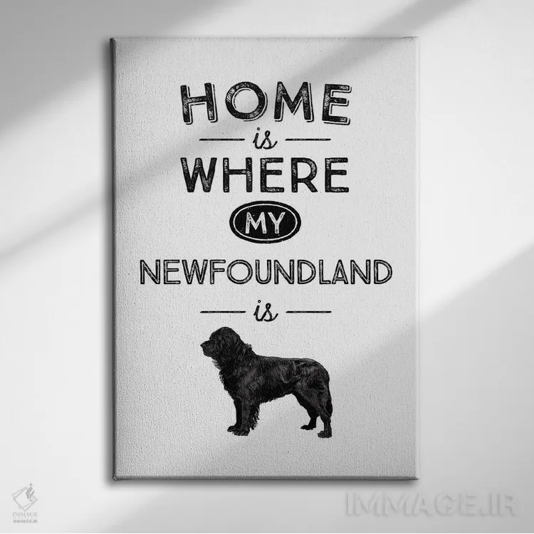تابلو نیوفاندلند (نژاد سگ) اثر پوسترهای طراحی آلچرا - نمای روبهرو روی دیوار