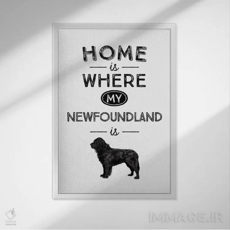 تابلو نیوفاندلند (نژاد سگ) اثر پوسترهای طراحی آلچرا - نمای قابدار سفید