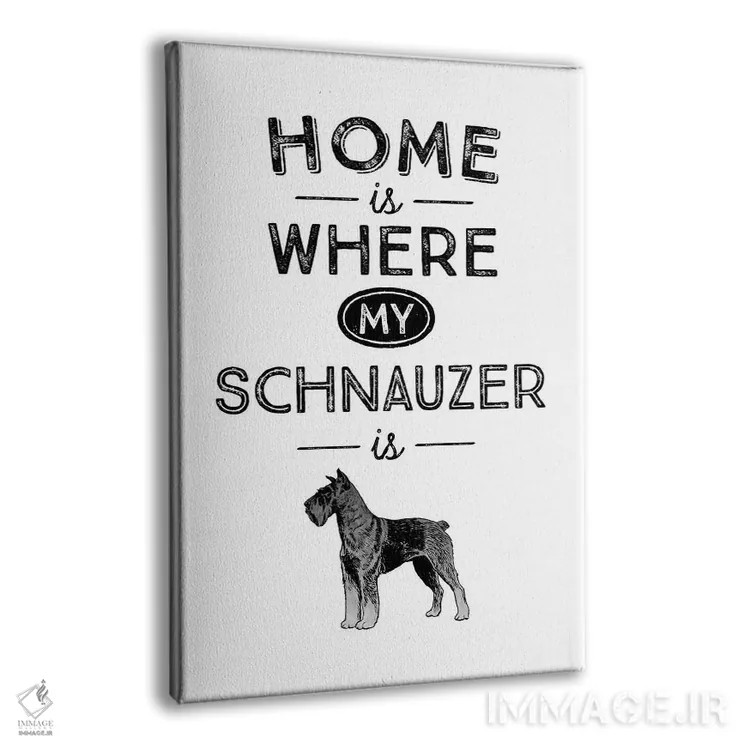 تابلو شنو تایزر (اشناوزر؛ نژاد سگ) اثر پوسترهای طراحی آلچرا - نمای پرسپکتیو محصول