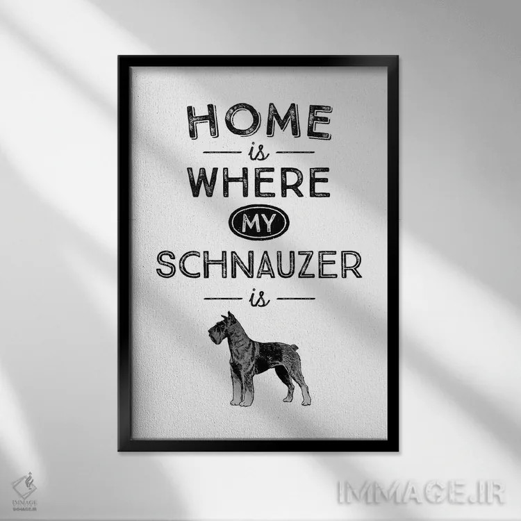 تابلو شنو تایزر (اشناوزر؛ نژاد سگ) اثر پوسترهای طراحی آلچرا - نمای قابدار مشکی