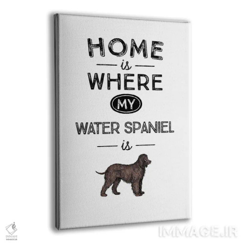 تابلو اسپنیل آبی (نژاد سگ) اثر پوسترهای طراحی آلچرا - نمای پرسپکتیو محصول