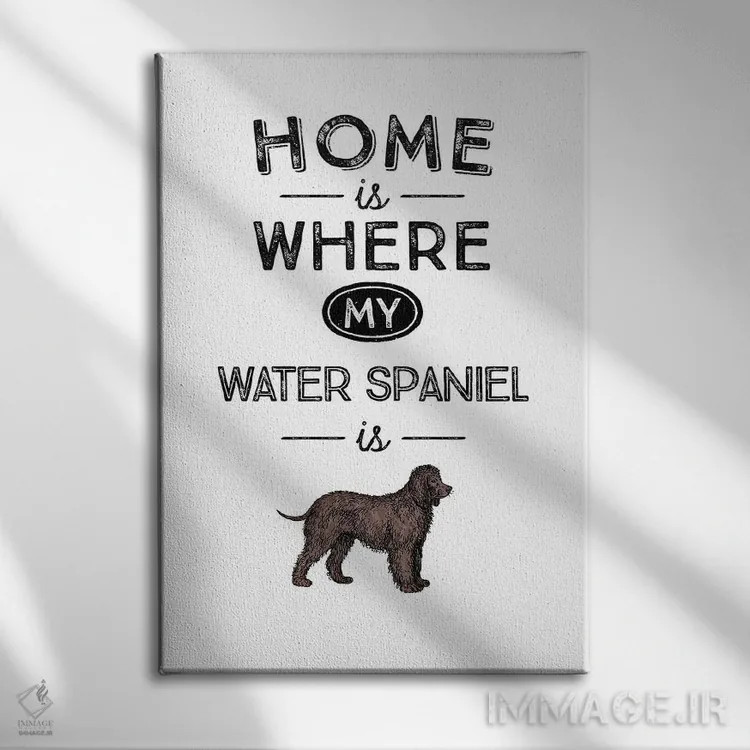 تابلو اسپنیل آبی (نژاد سگ) اثر پوسترهای طراحی آلچرا - نمای روبهرو روی دیوار