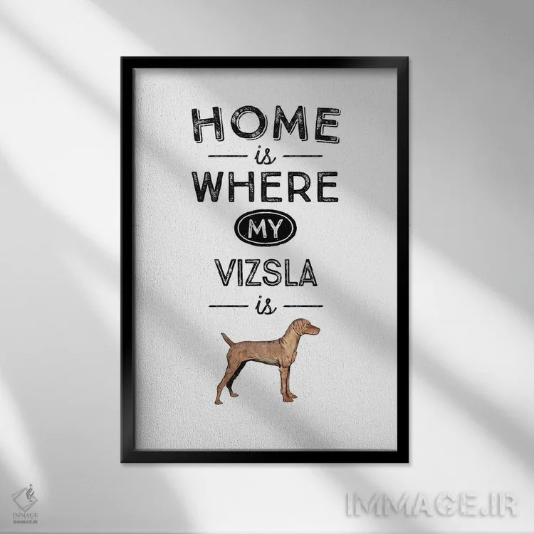 تابلو ویژلا (نژاد سگ مجارستانی) اثر پوسترهای طراحی آلچرا - نمای قابدار مشکی
