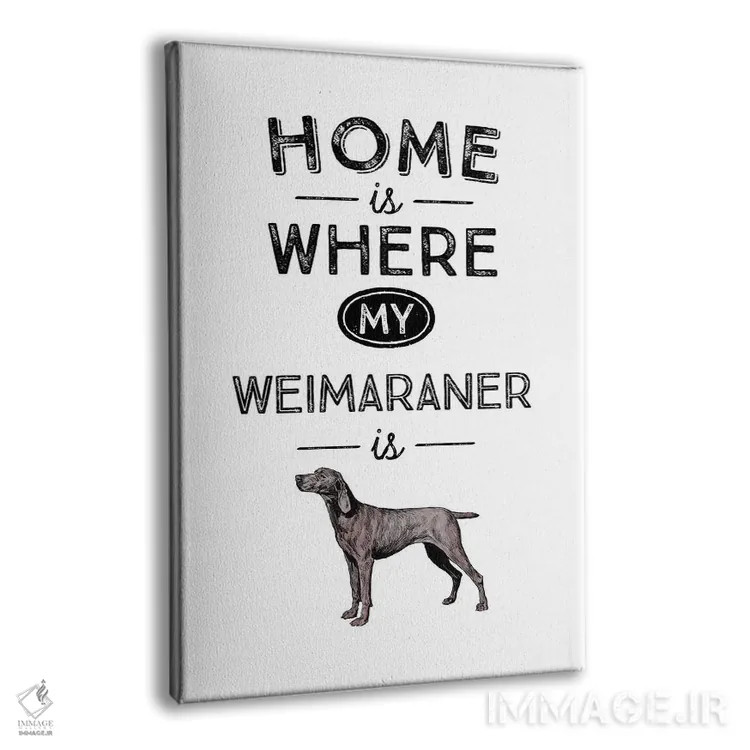 تابلو وایمارانر (نژاد سگ آلمانی) اثر پوسترهای طراحی آلچرا - نمای پرسپکتیو محصول