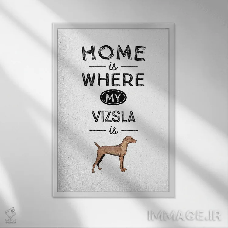 تابلو ویژلا (نژاد سگ مجارستانی) اثر پوسترهای طراحی آلچرا - نمای قابدار سفید