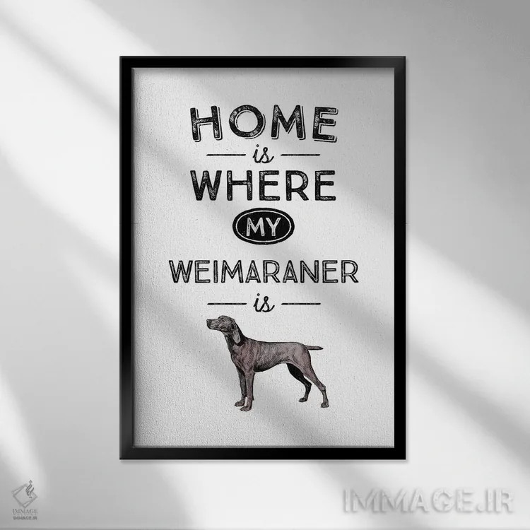 تابلو وایمارانر (نژاد سگ آلمانی) اثر پوسترهای طراحی آلچرا - نمای قابدار مشکی