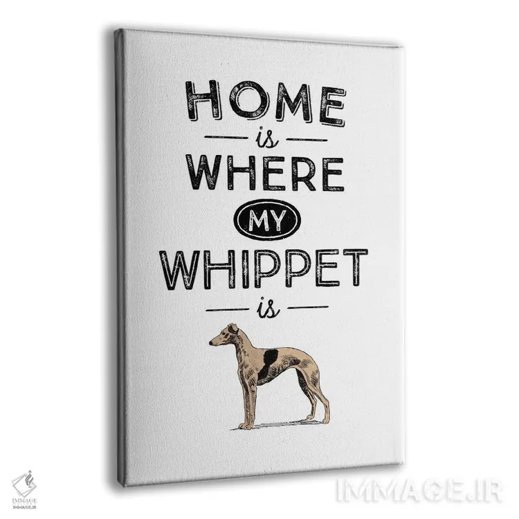 تابلو ویپت (نژاد سگ تازی) اثر پوسترهای طراحی آلچرا - نمای پرسپکتیو محصول