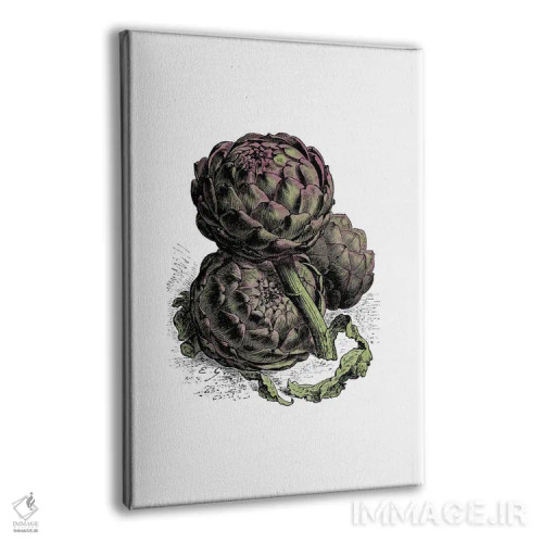 تابلو کنگر فرنگی (آرتیشو) اثر پوسترهای طراحی آلچرا - نمای پرسپکتیو محصول