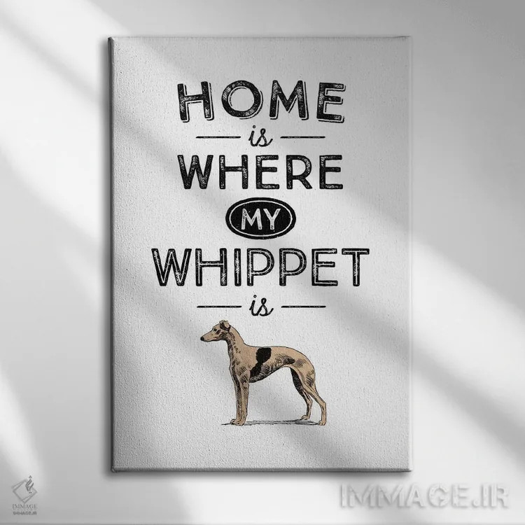 تابلو ویپت (نژاد سگ تازی) اثر پوسترهای طراحی آلچرا - نمای روبهرو روی دیوار