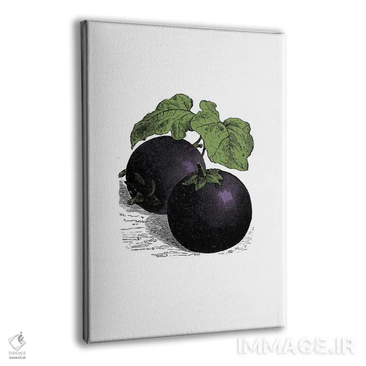 تابلو بادمجان (Aubergine) اثر پوسترهای طراحی آلچرا - نمای پرسپکتیو محصول
