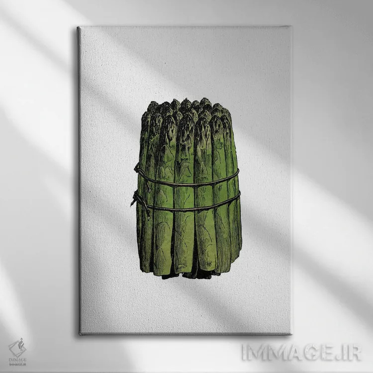 تابلو مارچوبه اثر پوسترهای طراحی آلچرا - نمای روبهرو روی دیوار