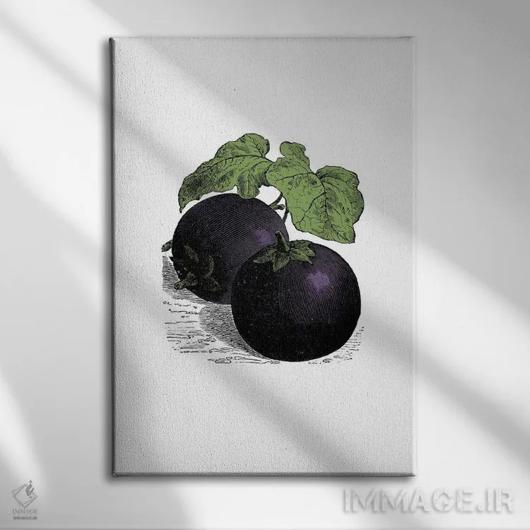 تابلو بادمجان (Aubergine) اثر پوسترهای طراحی آلچرا - نمای روبهرو روی دیوار