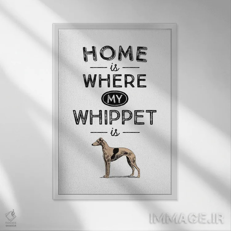 تابلو ویپت (نژاد سگ تازی) اثر پوسترهای طراحی آلچرا - نمای قابدار سفید