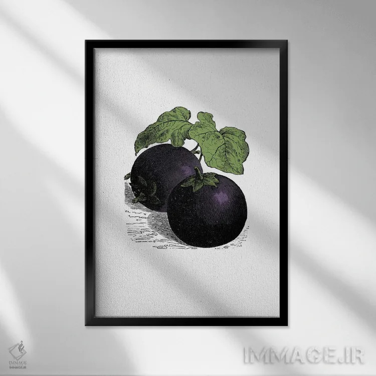 تابلو بادمجان (Aubergine) اثر پوسترهای طراحی آلچرا - نمای قابدار مشکی