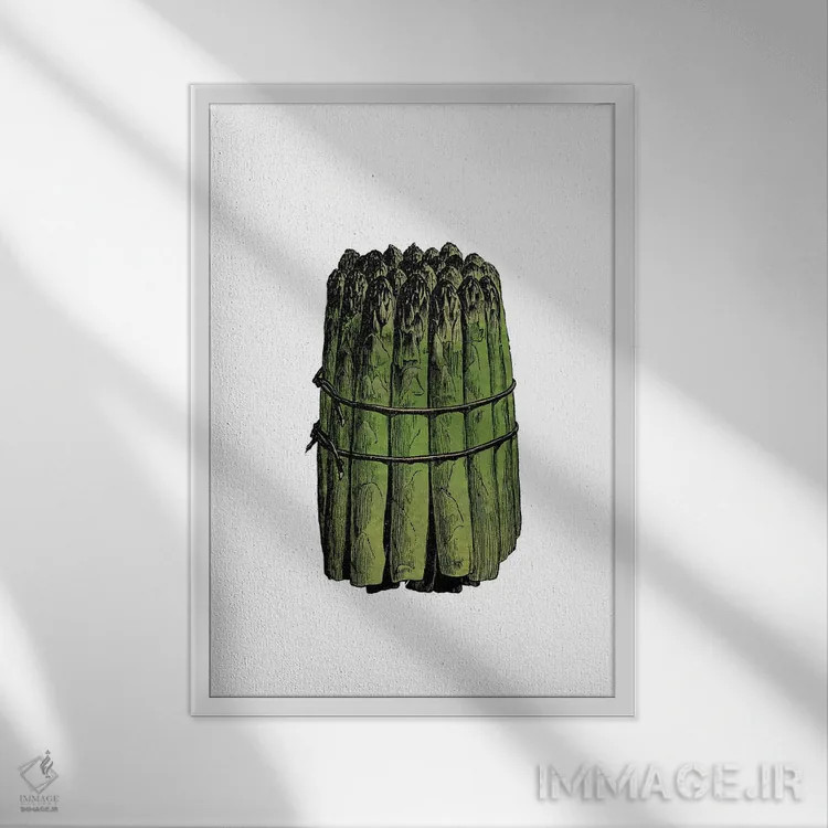 تابلو مارچوبه اثر پوسترهای طراحی آلچرا - نمای قابدار سفید