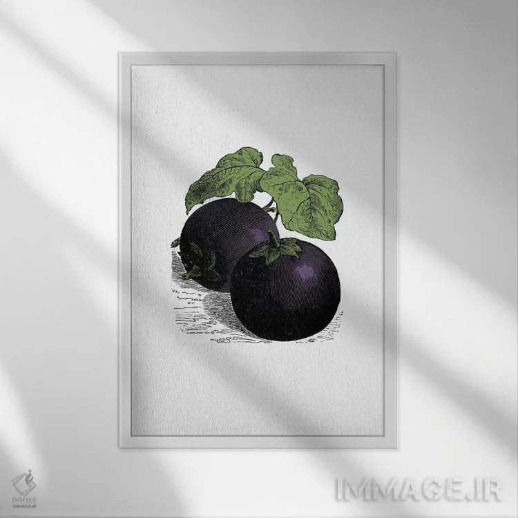 تابلو بادمجان (Aubergine) اثر پوسترهای طراحی آلچرا - نمای قابدار سفید