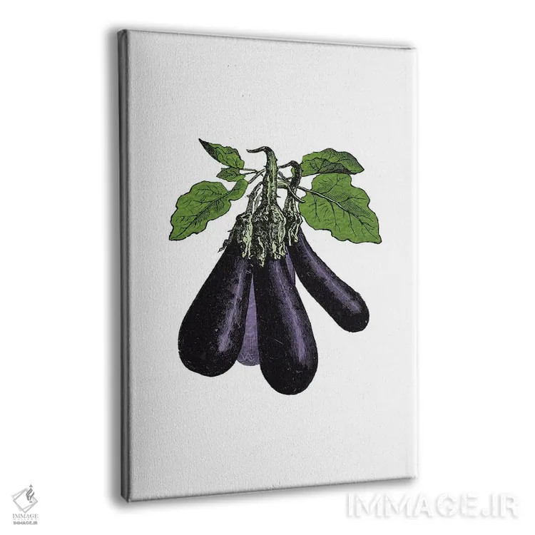 تابلو بادمجان (Eggplant) اثر پوسترهای طراحی آلچرا - نمای پرسپکتیو محصول