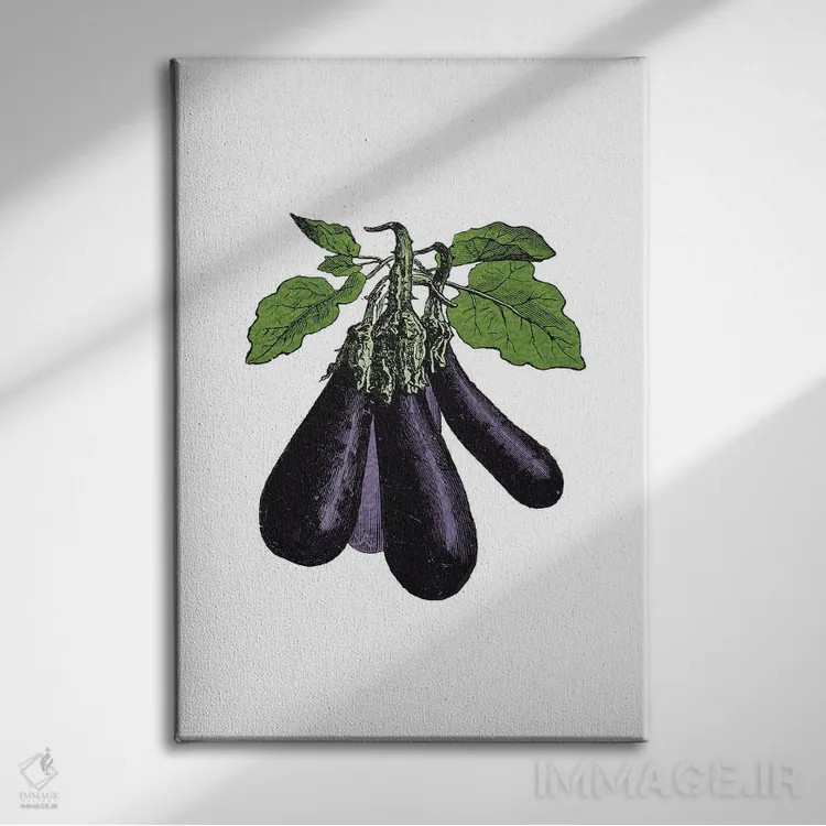تابلو بادمجان (Eggplant) اثر پوسترهای طراحی آلچرا - نمای روبهرو روی دیوار