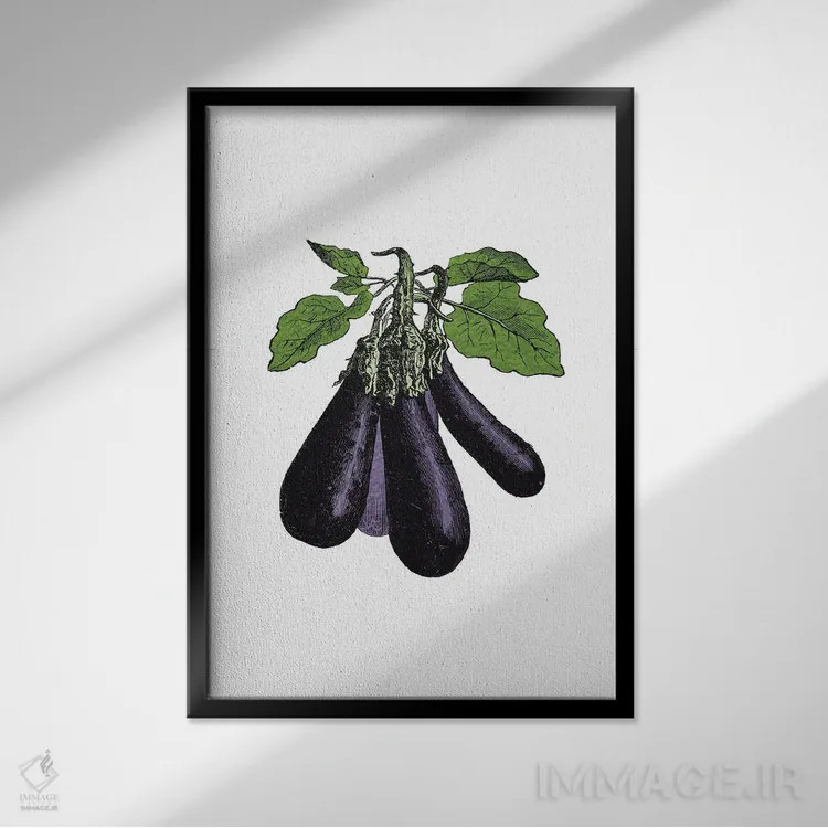 تابلو بادمجان (Eggplant) اثر پوسترهای طراحی آلچرا - نمای قابدار مشکی