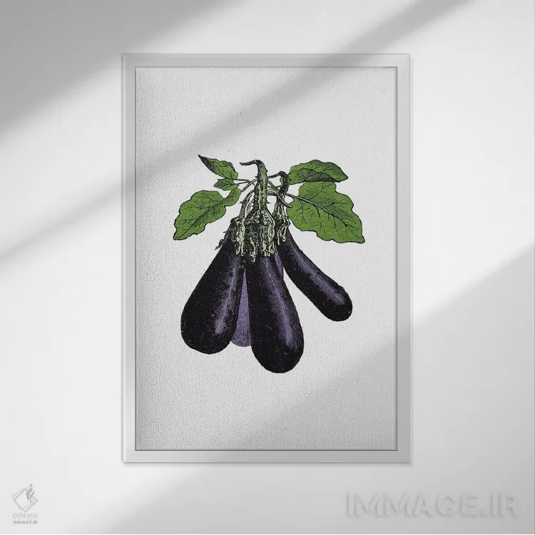 تابلو بادمجان (Eggplant) اثر پوسترهای طراحی آلچرا - نمای قابدار سفید