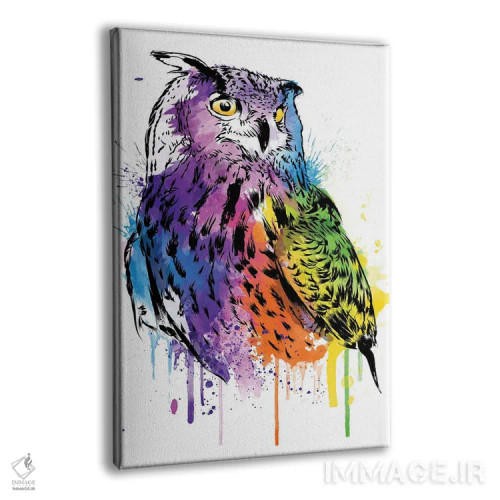 تابلو جغد (آبرنگ) اثر آنتونیو کامارنا - نمای پرسپکتیو محصول