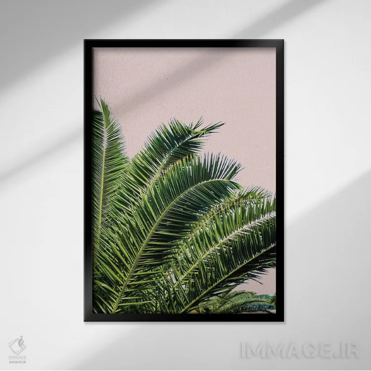 تابلو برگهای استوایی روی پسزمینه صورتی I اثر آکوستا - نمای قابدار مشکی