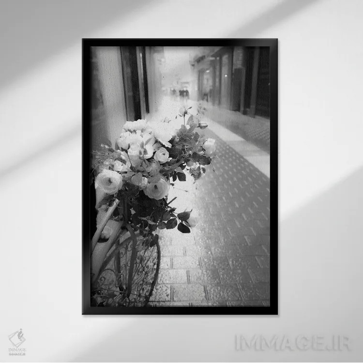 تابلو دوچرخه گلدار اثر آکوستا - نمای قابدار مشکی