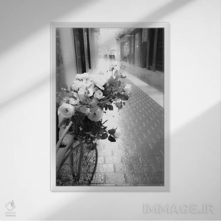 تابلو دوچرخه گلدار اثر آکوستا - نمای قابدار سفید