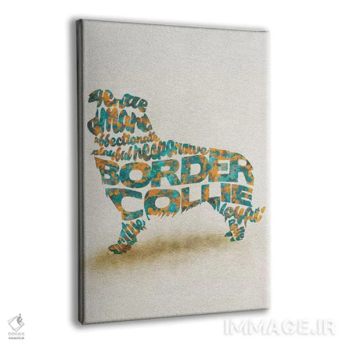 تابلو بردر کولی (نژاد سگ) اثر آیشه دنیز آکِرمان - نمای پرسپکتیو محصول