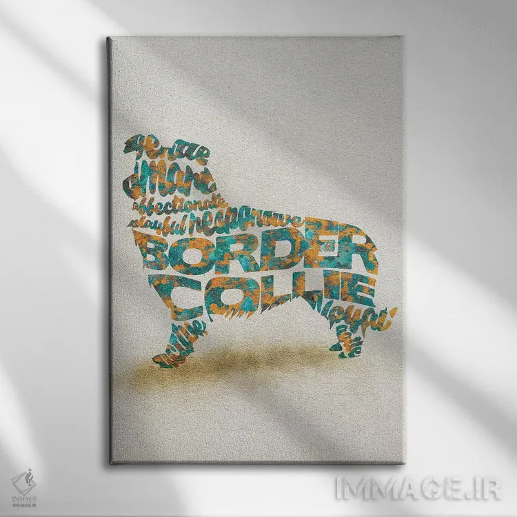 تابلو بردر کولی (نژاد سگ) اثر آیشه دنیز آکِرمان - نمای روبهرو روی دیوار