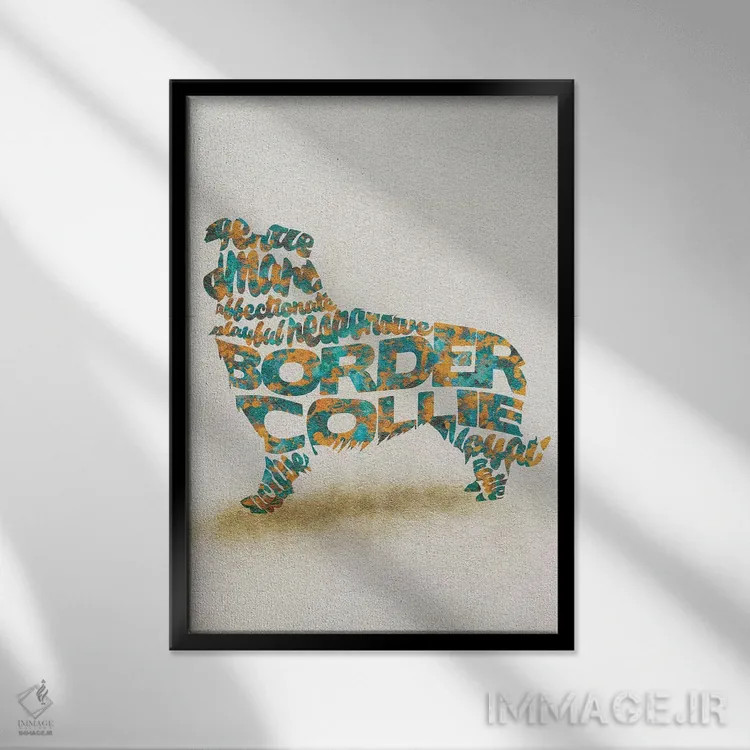 تابلو بردر کولی (نژاد سگ) اثر آیشه دنیز آکِرمان - نمای قابدار مشکی