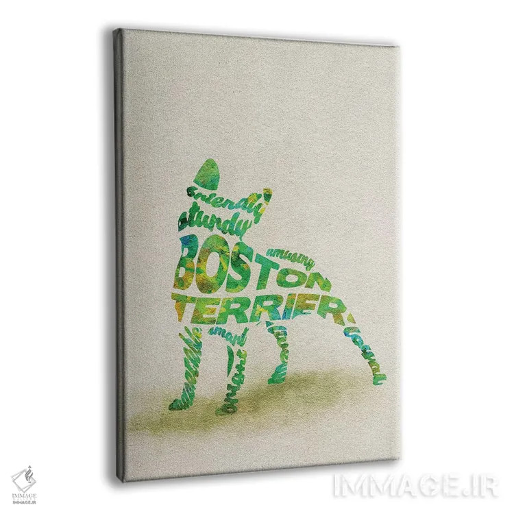 تابلو بوستون تریر (نژاد سگ) اثر آیشه دنیز آکِرمان - نمای پرسپکتیو محصول