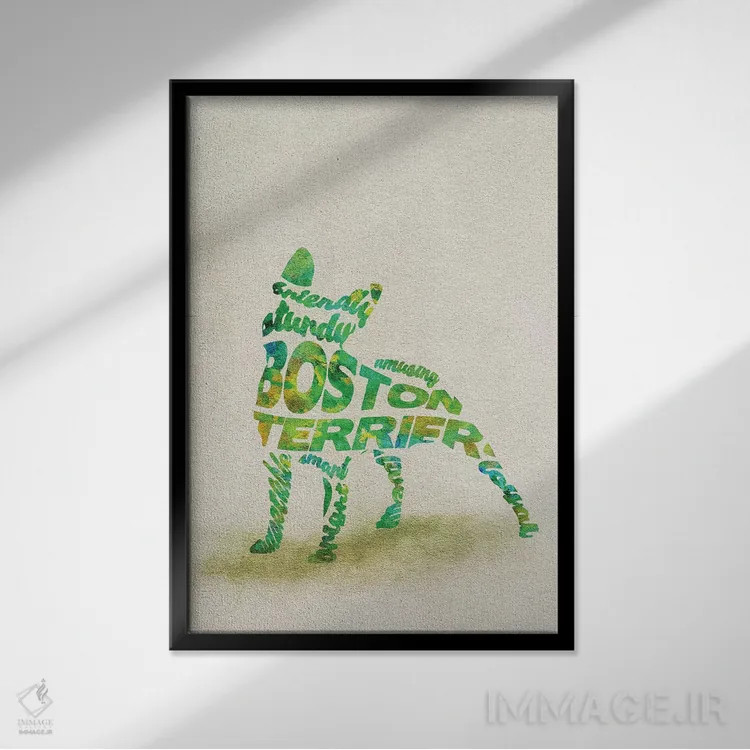 تابلو بوستون تریر (نژاد سگ) اثر آیشه دنیز آکِرمان - نمای قابدار مشکی