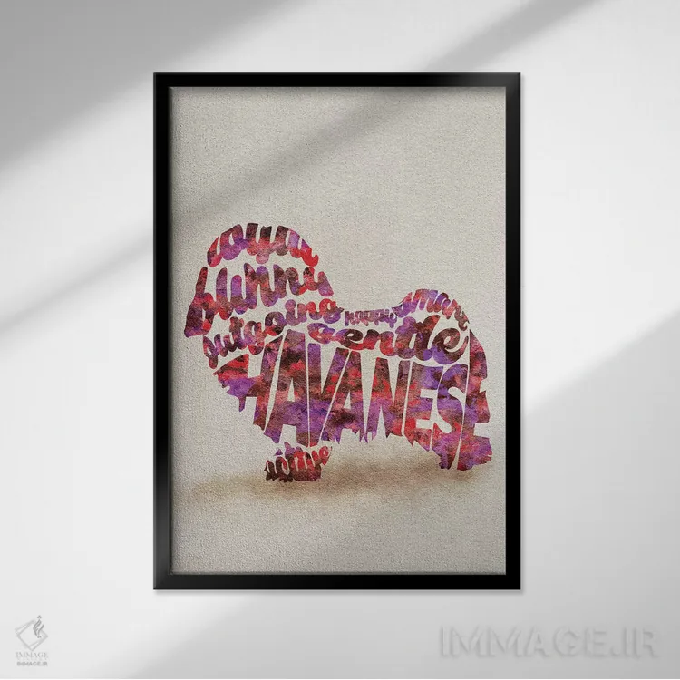 تابلو سگ هاوانیز اثر آیشه دنیز آکِرمان - نمای قابدار مشکی