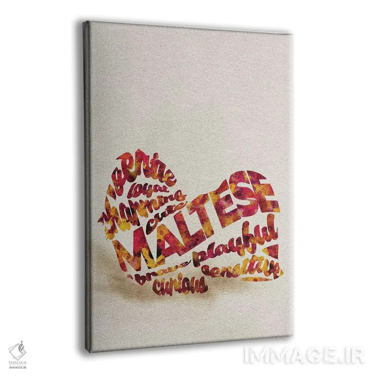 تابلو سگ مالتیز (نژاد سگ) اثر آیشه دنیز آکِرمان - نمای پرسپکتیو محصول