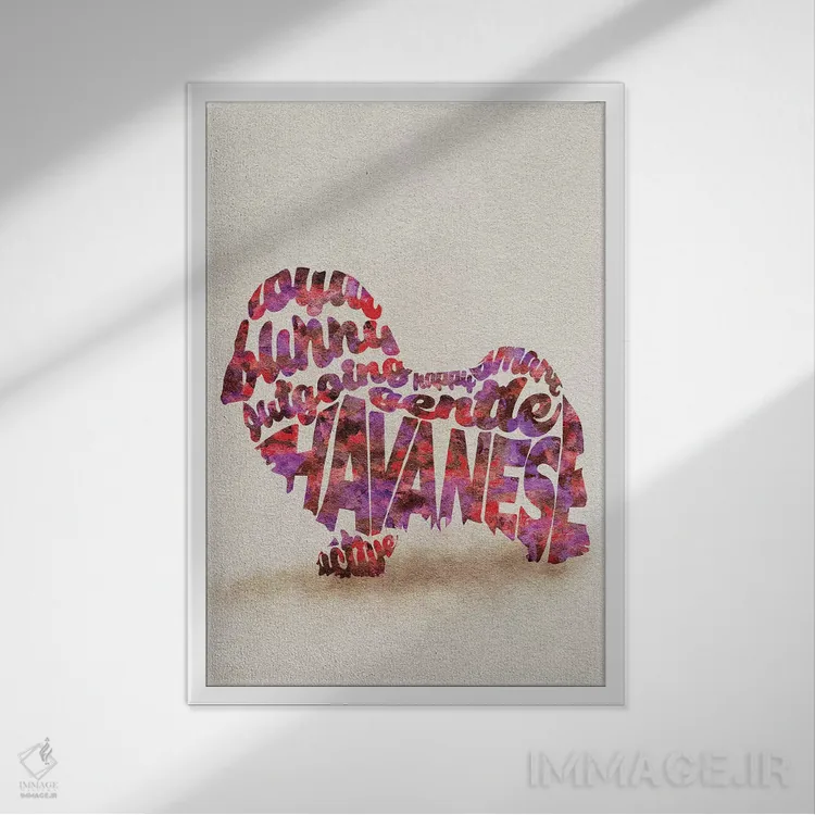 تابلو سگ هاوانیز اثر آیشه دنیز آکِرمان - نمای قابدار سفید