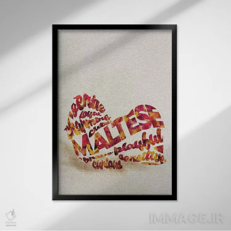 تابلو سگ مالتیز (نژاد سگ) اثر آیشه دنیز آکِرمان - نمای قابدار مشکی