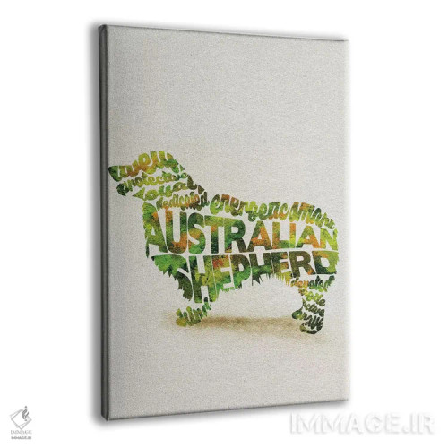 تابلو استرالیایی شپرد (نژاد سگ چوپان) اثر آیشه دنیز آکِرمان - نمای پرسپکتیو محصول