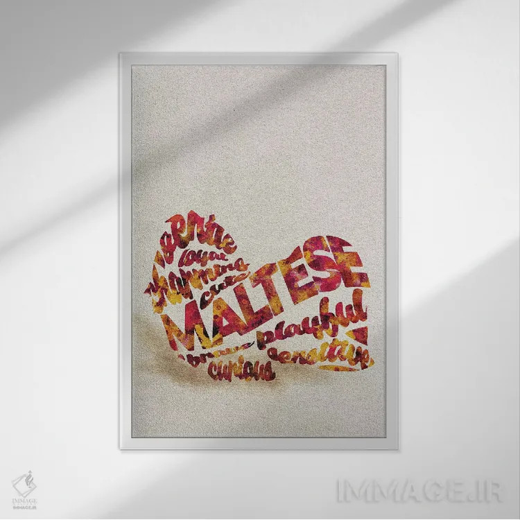 تابلو سگ مالتیز (نژاد سگ) اثر آیشه دنیز آکِرمان - نمای قابدار سفید