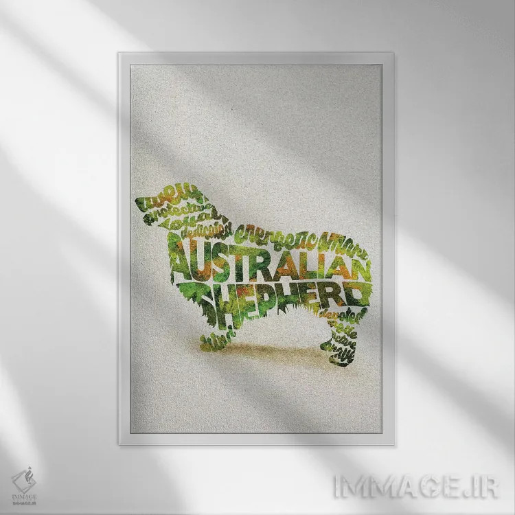 تابلو استرالیایی شپرد (نژاد سگ چوپان) اثر آیشه دنیز آکِرمان - نمای قابدار سفید