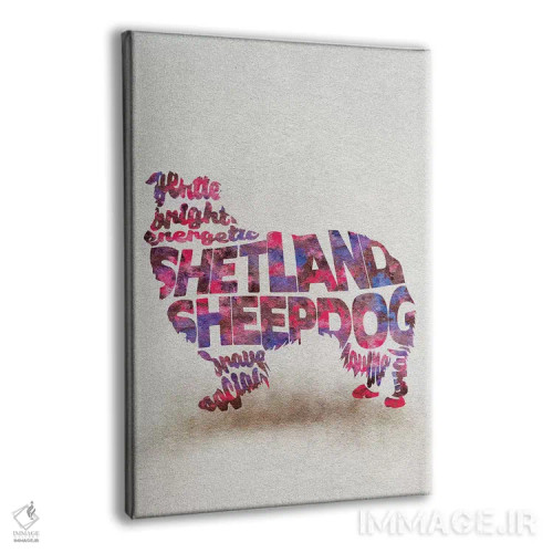 تابلو شتلند شیپداگ (نژاد سگ گله) اثر آیشه دنیز آکِرمان - نمای پرسپکتیو محصول