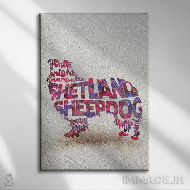 تابلو شتلند شیپداگ (نژاد سگ گله) اثر آیشه دنیز آکِرمان - نمای روبهرو روی دیوار