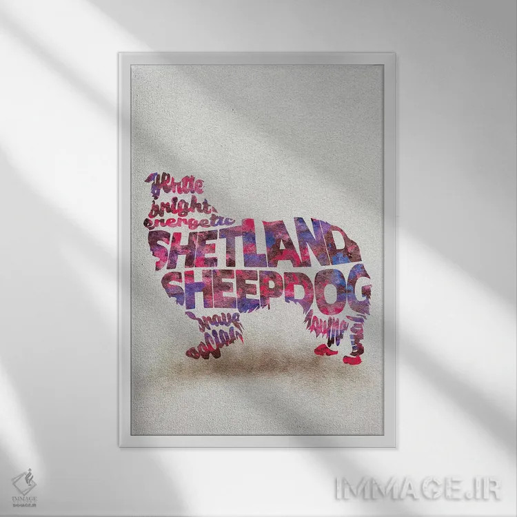تابلو شتلند شیپداگ (نژاد سگ گله) اثر آیشه دنیز آکِرمان - نمای قابدار سفید