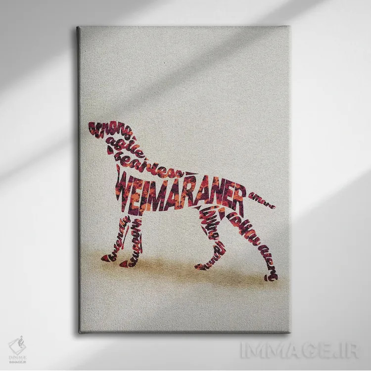 تابلو ویمارانر (نژاد سگ شکاری آلمانی) اثر آیشه دنیز آکِرمان - نمای روبهرو روی دیوار