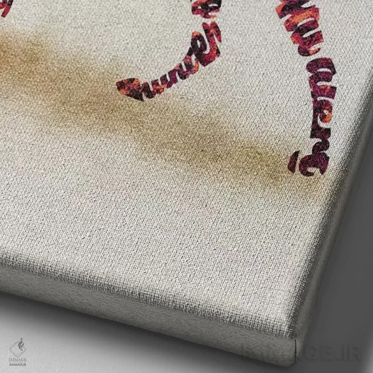 تابلو ویمارانر (نژاد سگ شکاری آلمانی) اثر آیشه دنیز آکِرمان - نمای نزدیک بافت بوم