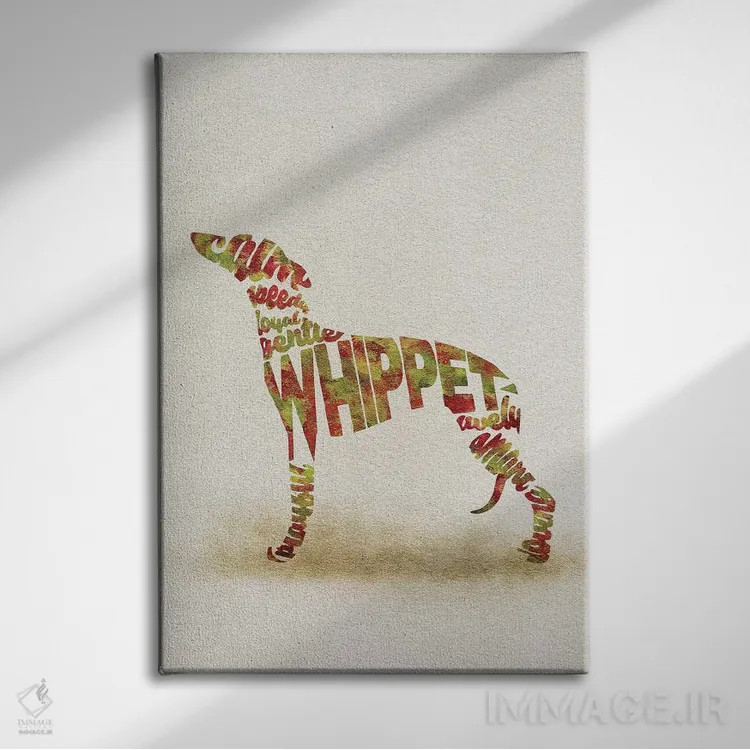 تابلو ویپت (نژاد سگ دونده کوچک) اثر آیشه دنیز آکِرمان - نمای روبهرو روی دیوار