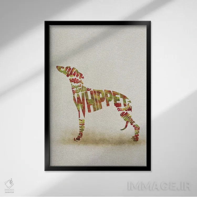 تابلو ویپت (نژاد سگ دونده کوچک) اثر آیشه دنیز آکِرمان - نمای قابدار مشکی